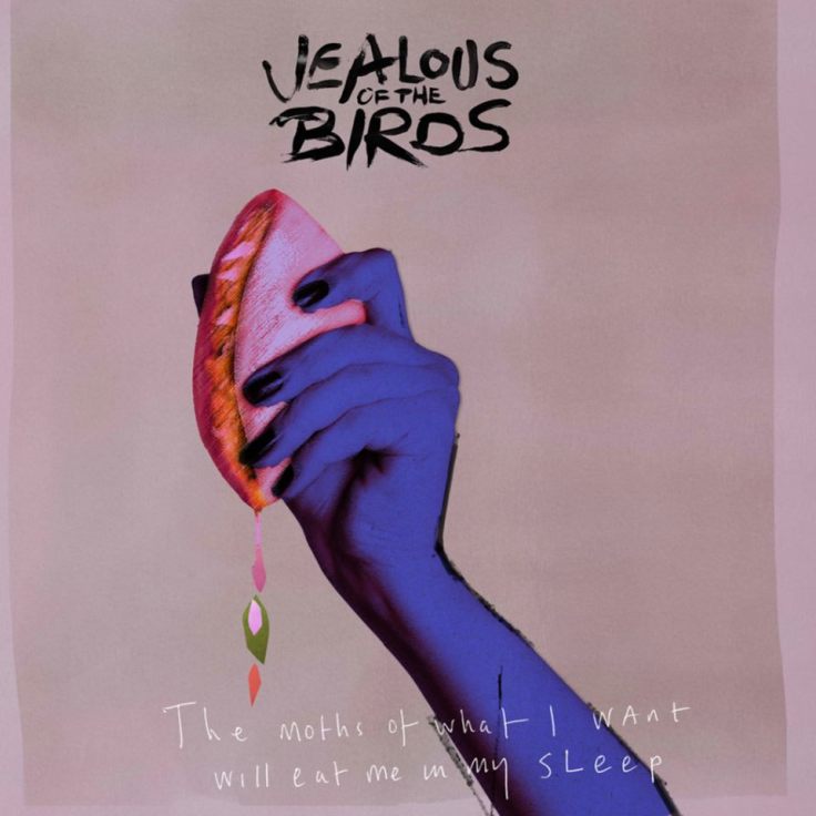 jealous of the birds cover art